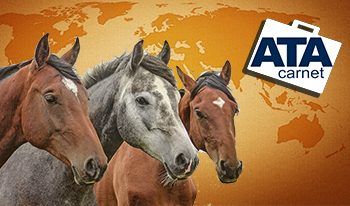 Ree horse heads in shades of brown and gray positioned against an orange-toned world map background with an ATA Carnet logo