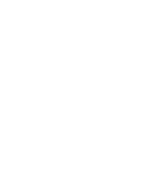 ATA Carnet Calculator Icon