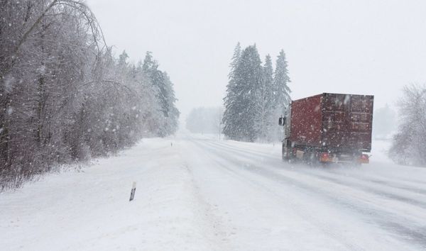 A red semi-truck drives on a snow-covered road through a dense, frost-covered forest during a heavy snowfall